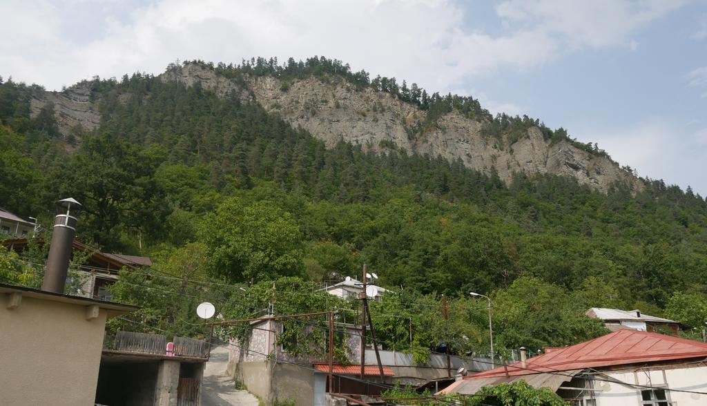 Luxury At Pirosmani 22 In Borjomi